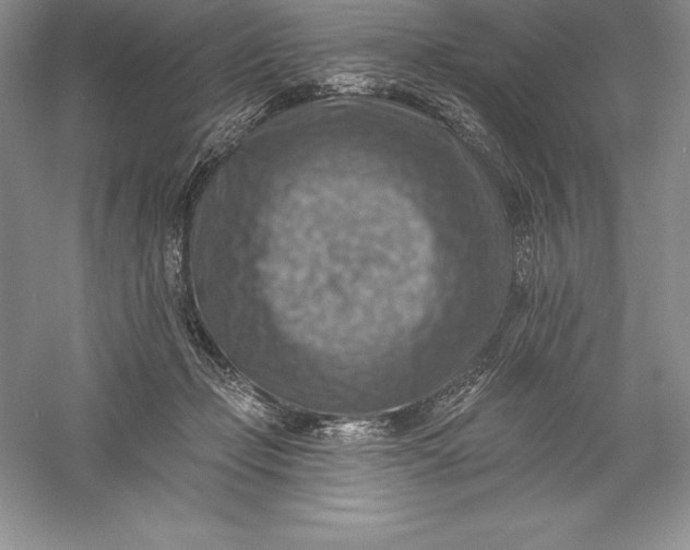 X0000055990365200509092026