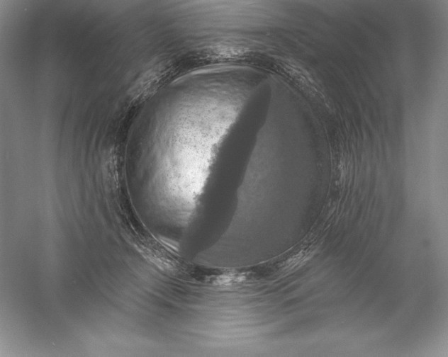 X0000055990366200509092026