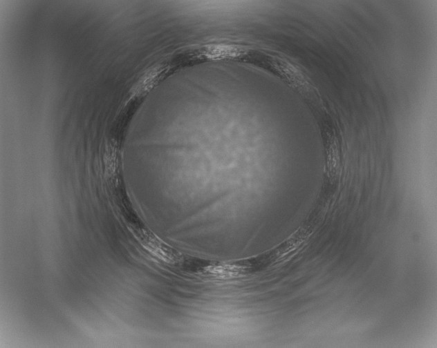 X0000055990367200509092026