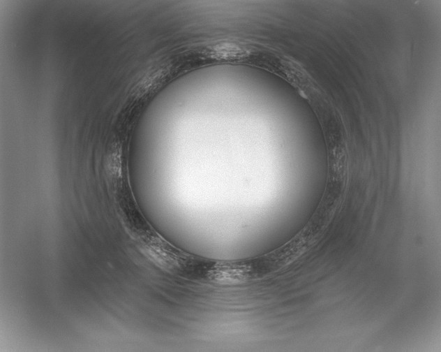 X0000055990368200509092026