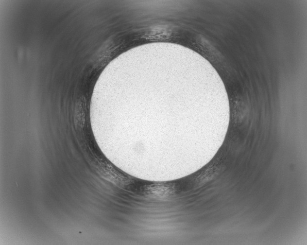 X0000055990370200509092026