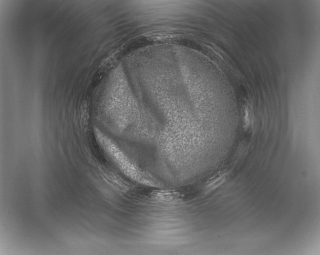 X0000055990372200509092026