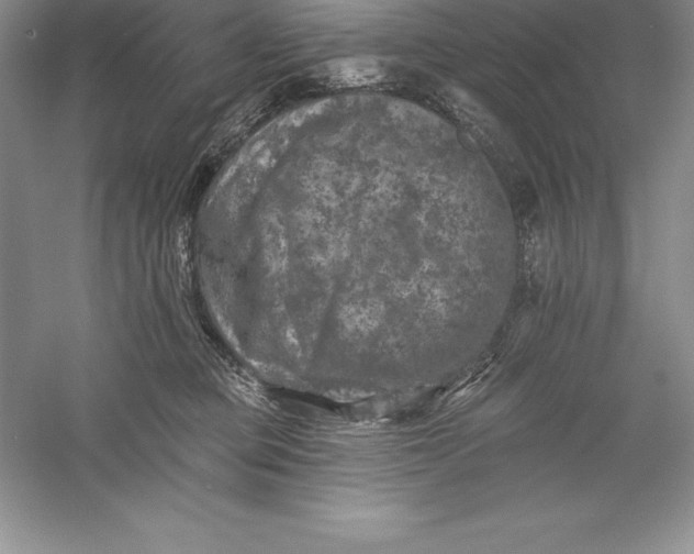 X0000055990373200509092026