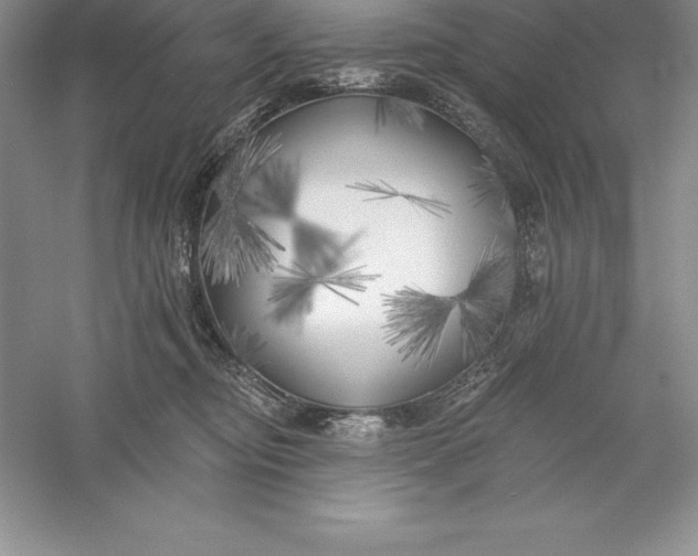 X0000055990374200509092026