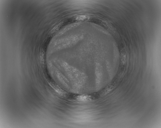 X0000055990375200509092026