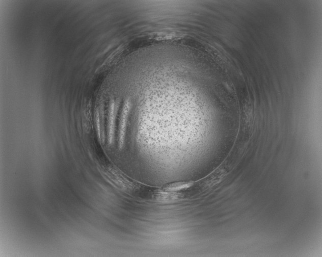 X0000055990376200509092026