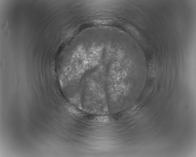 X0000055990377200509092026