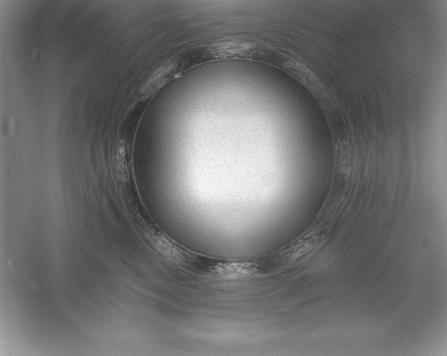 X0000055990378200509092026