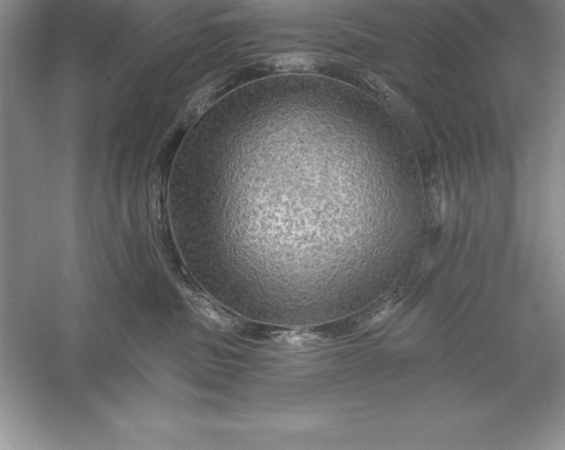 X0000055990379200509092026