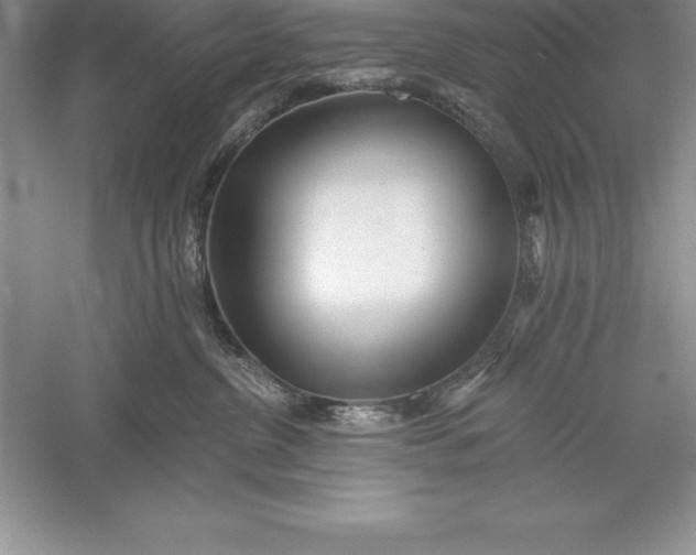 X0000055990380200509092026