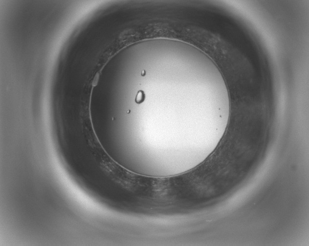 X0000055990382200509092026