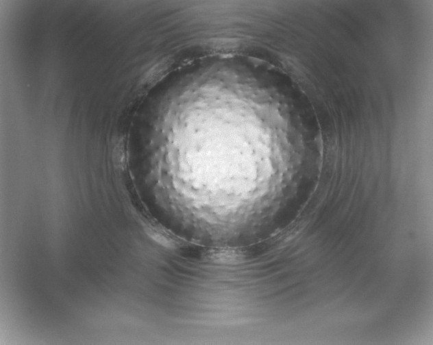 X0000055990383200509092026