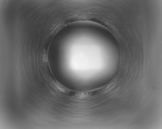 X0000055990384200509092026