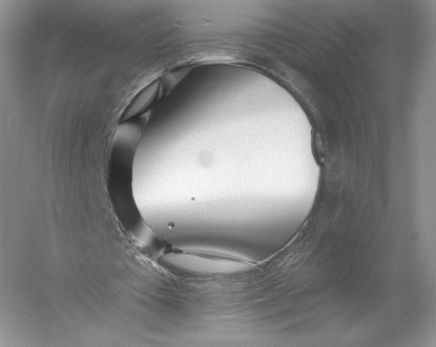 X0000055990385200509092025