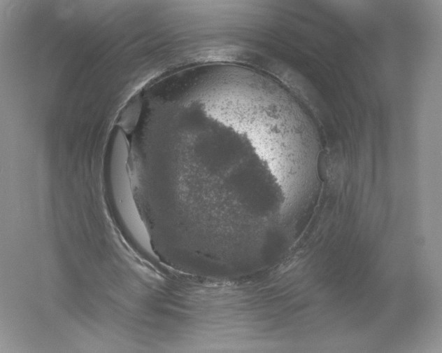 X0000055990386200509092025