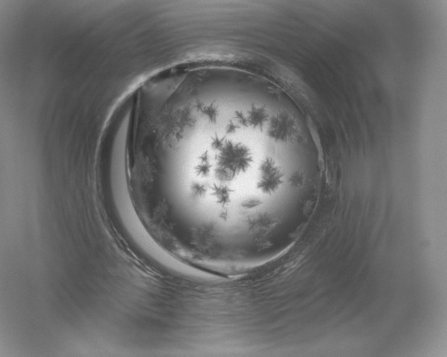 X0000055990388200509092025