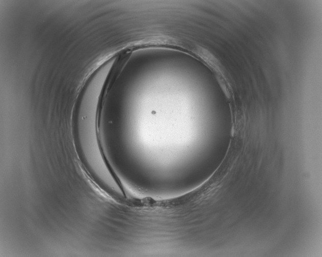 X0000055990389200509092025