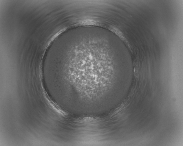 X0000055990390200509092025