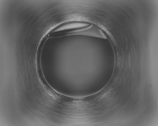 X0000055990391200509092025