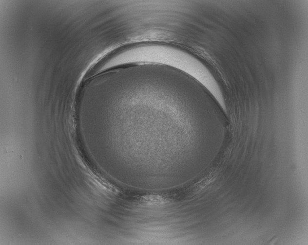 X0000055990392200509092025