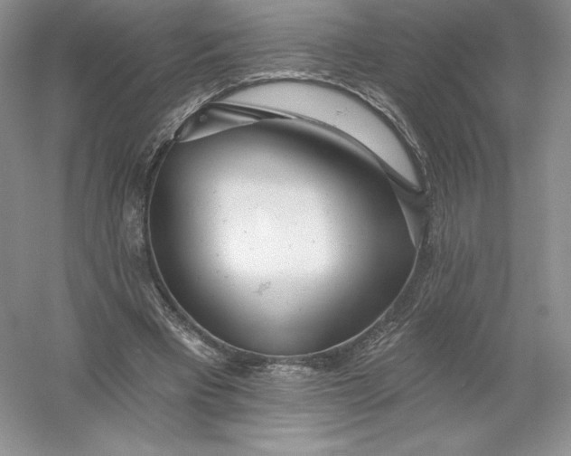 X0000055990393200509092025