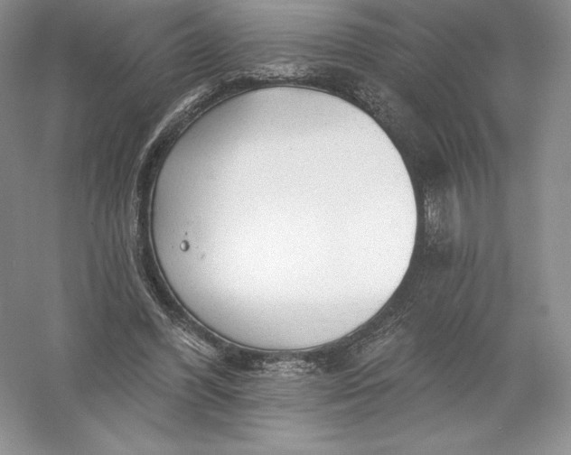 X0000055990396200509092025