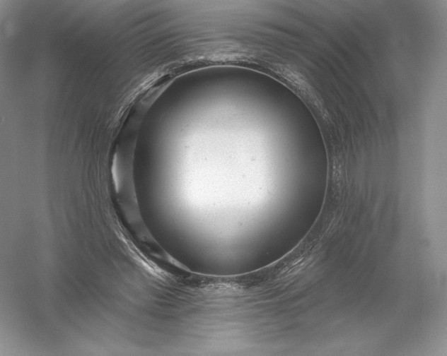 X0000055990397200509092025