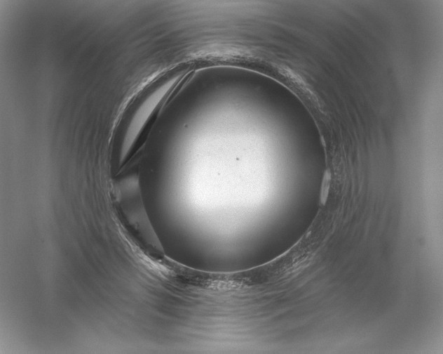 X0000055990399200509092025