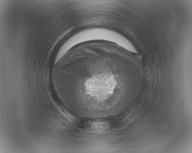 X0000055990400200509092025