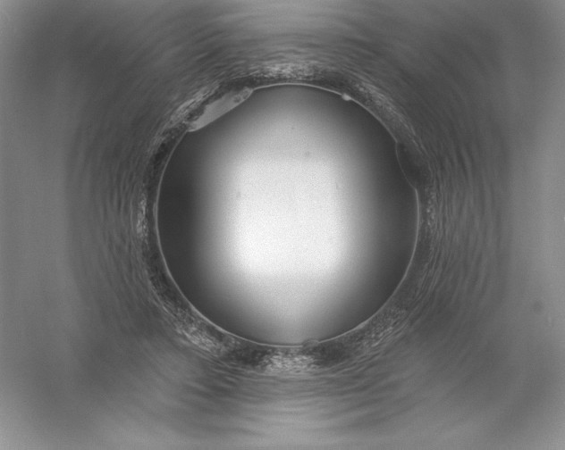 X0000055990403200509092025