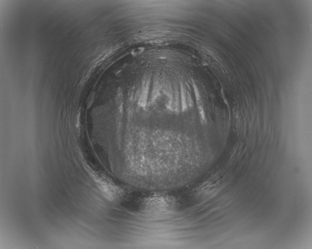 X0000055990404200509092025