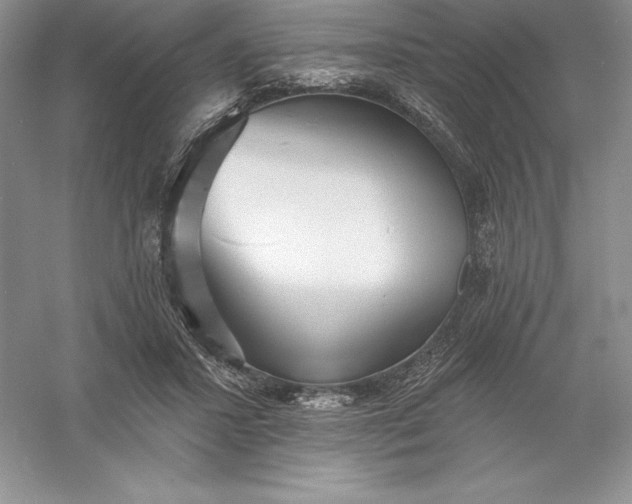 X0000055990407200509092025