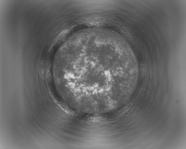 X0000055990408200509092025