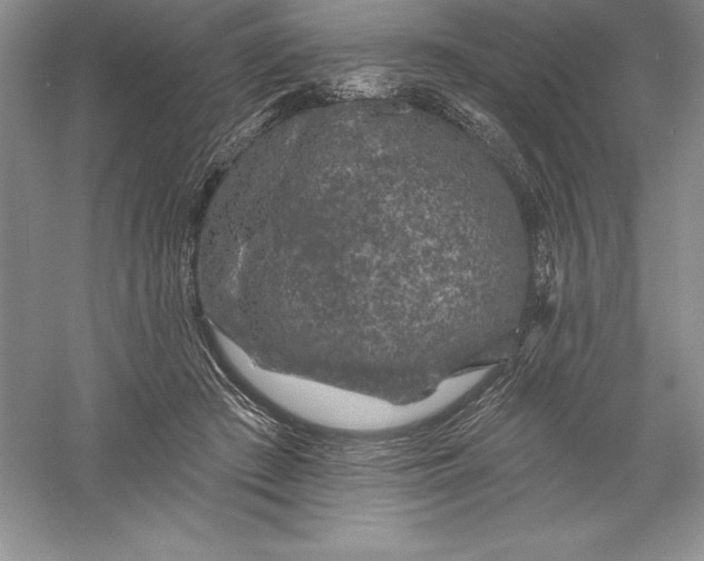 X0000055990409200509092025