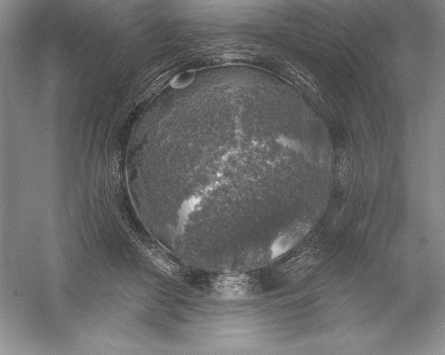 X0000055990410200509092025