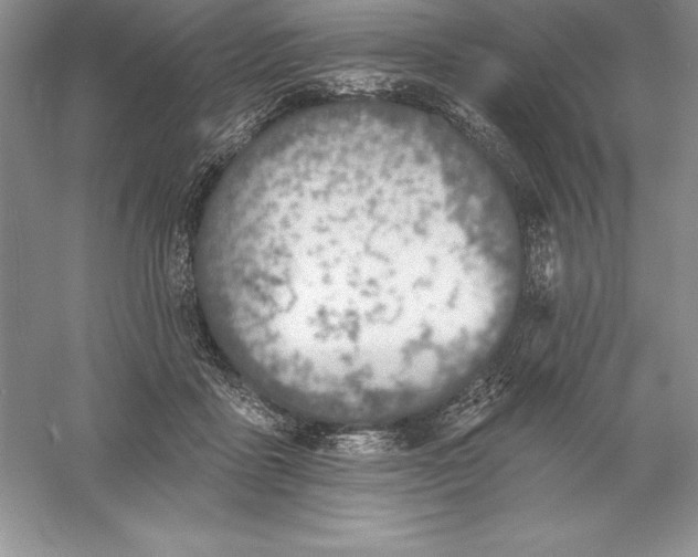 X0000055990411200509092025