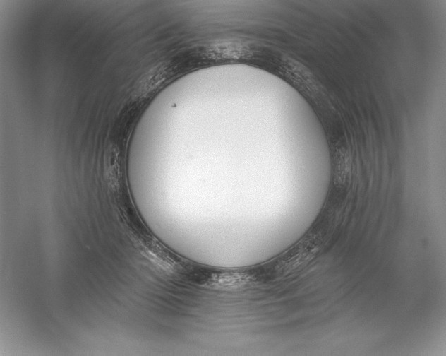 X0000055990414200509092025