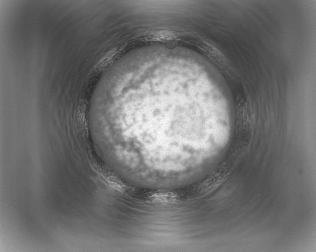 X0000055990415200509092025