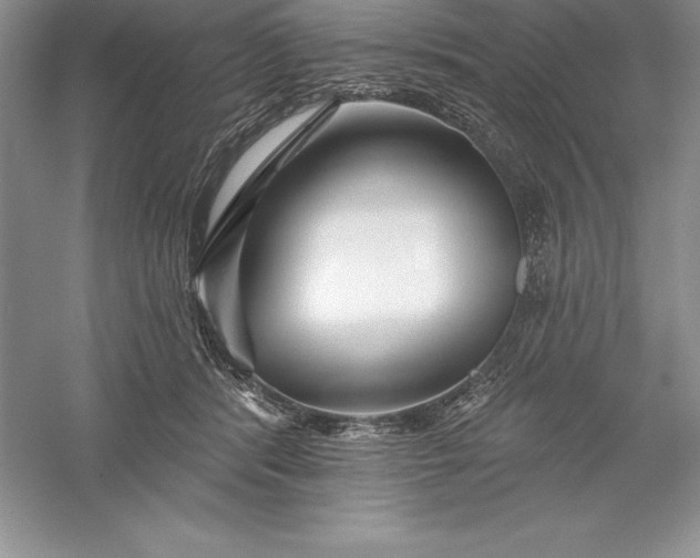 X0000055990416200509092025