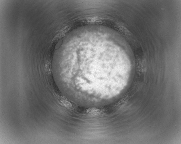 X0000055990419200509092024