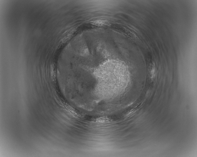 X0000055990420200509092024