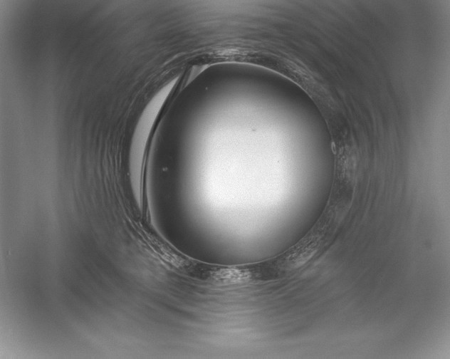 X0000055990421200509092024