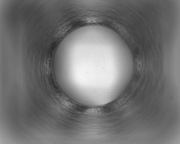 X0000055990422200509092024