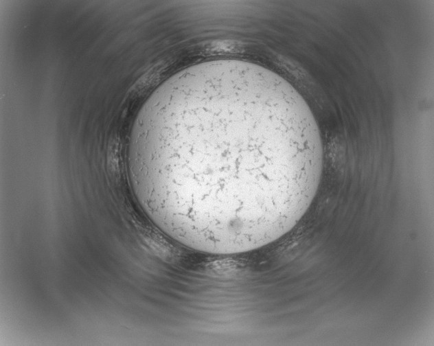 X0000055990423200509092024