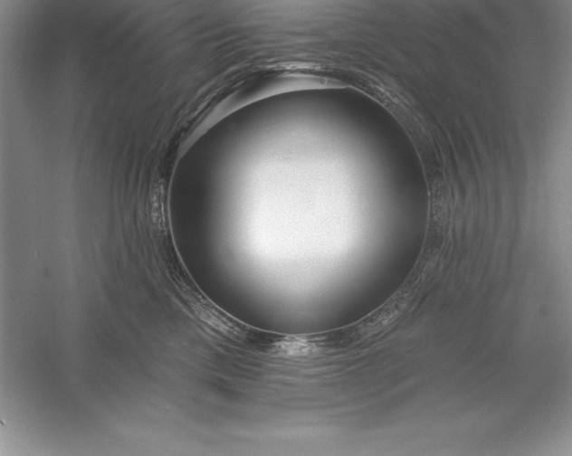 X0000055990425200509092024