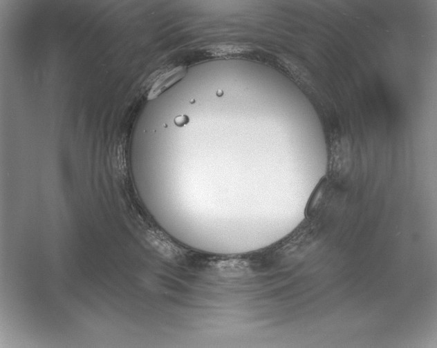 X0000055990426200509092024