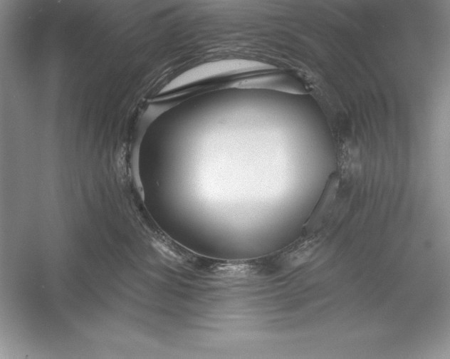 X0000055990428200509092024