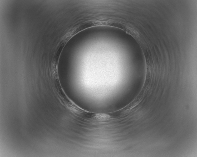 X0000055990429200509092024