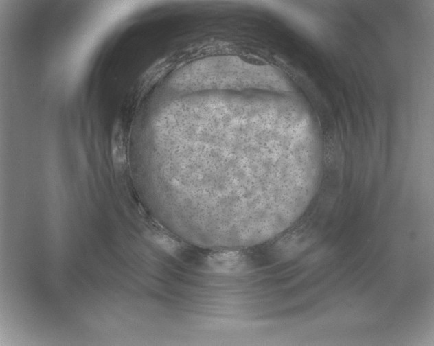 X0000055990431200509092024