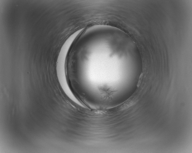 X0000055990432200509092024